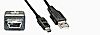 USB mini 5pin to type A male cable. 6 ft long
